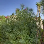 Terrasse Sur La 20 Сasa de vacaciones Porto Vecchio