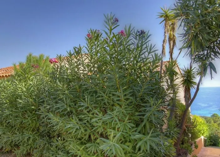 Terrasse Sur La 20 Holiday home Porto-Vecchio (Corsica)